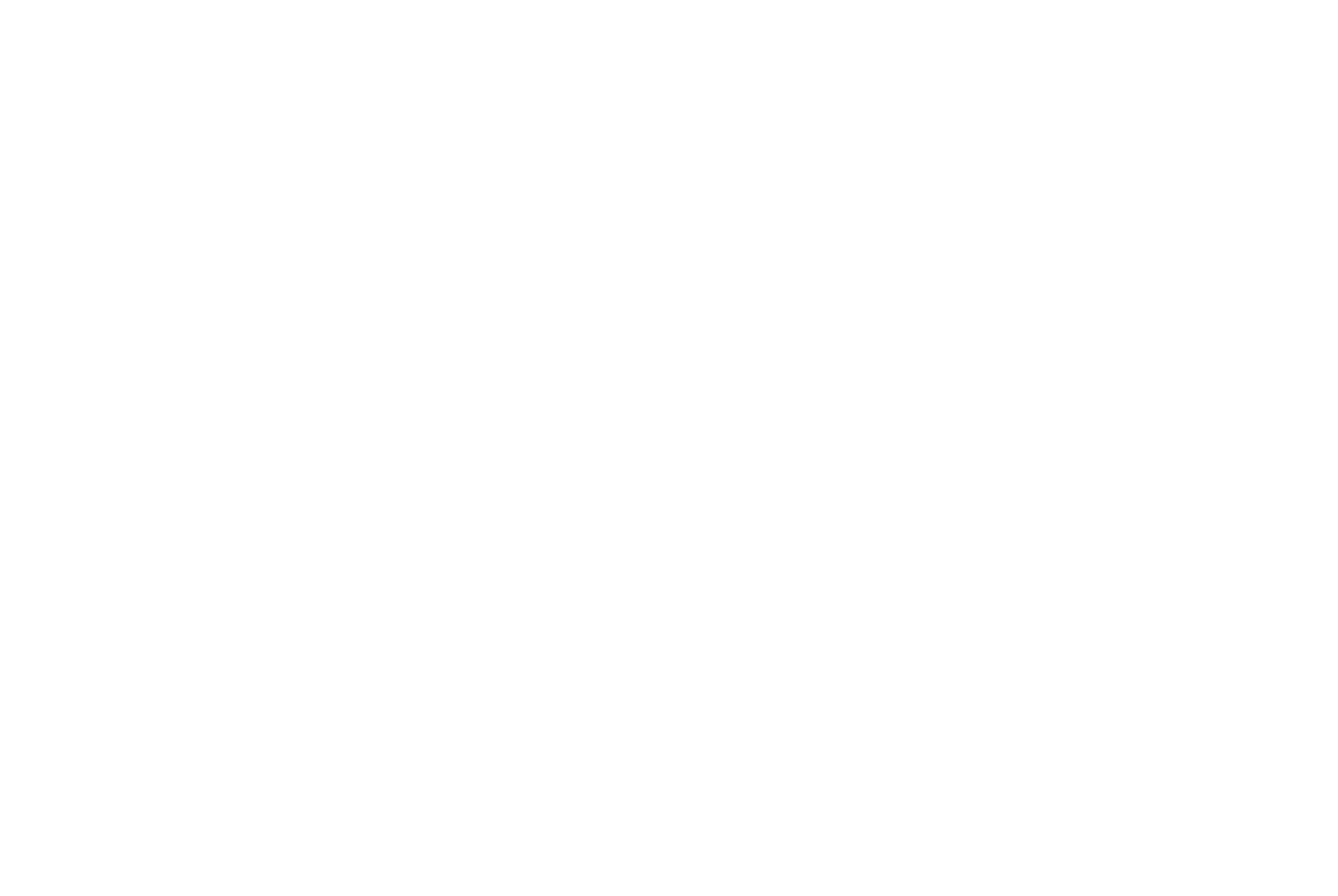 Aanekoski_logoslogan_nega